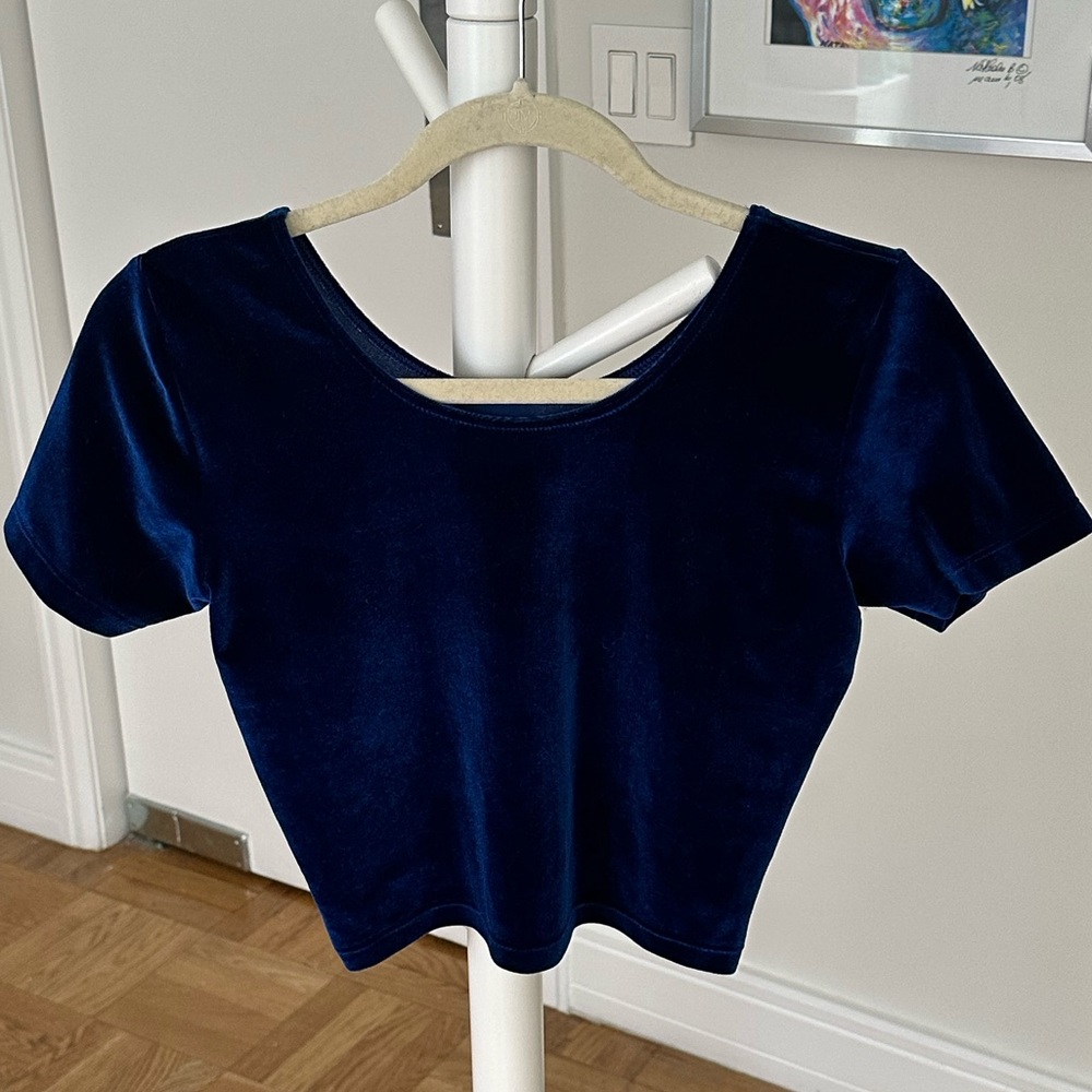 American Apparel Blue Velvet Crop Top